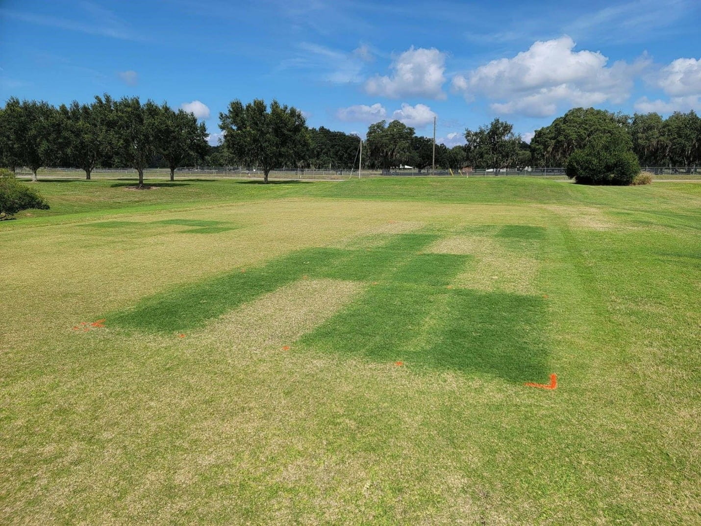 Athletic field
