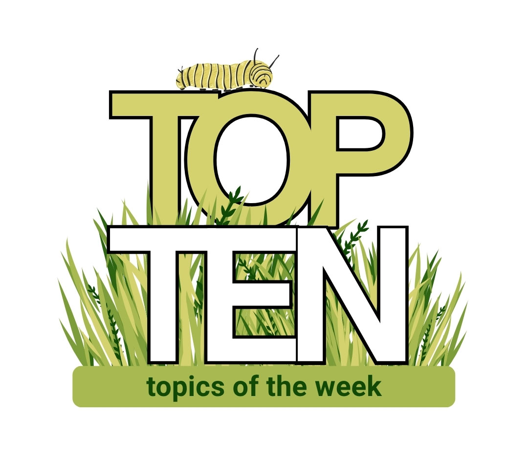 top ten graphic