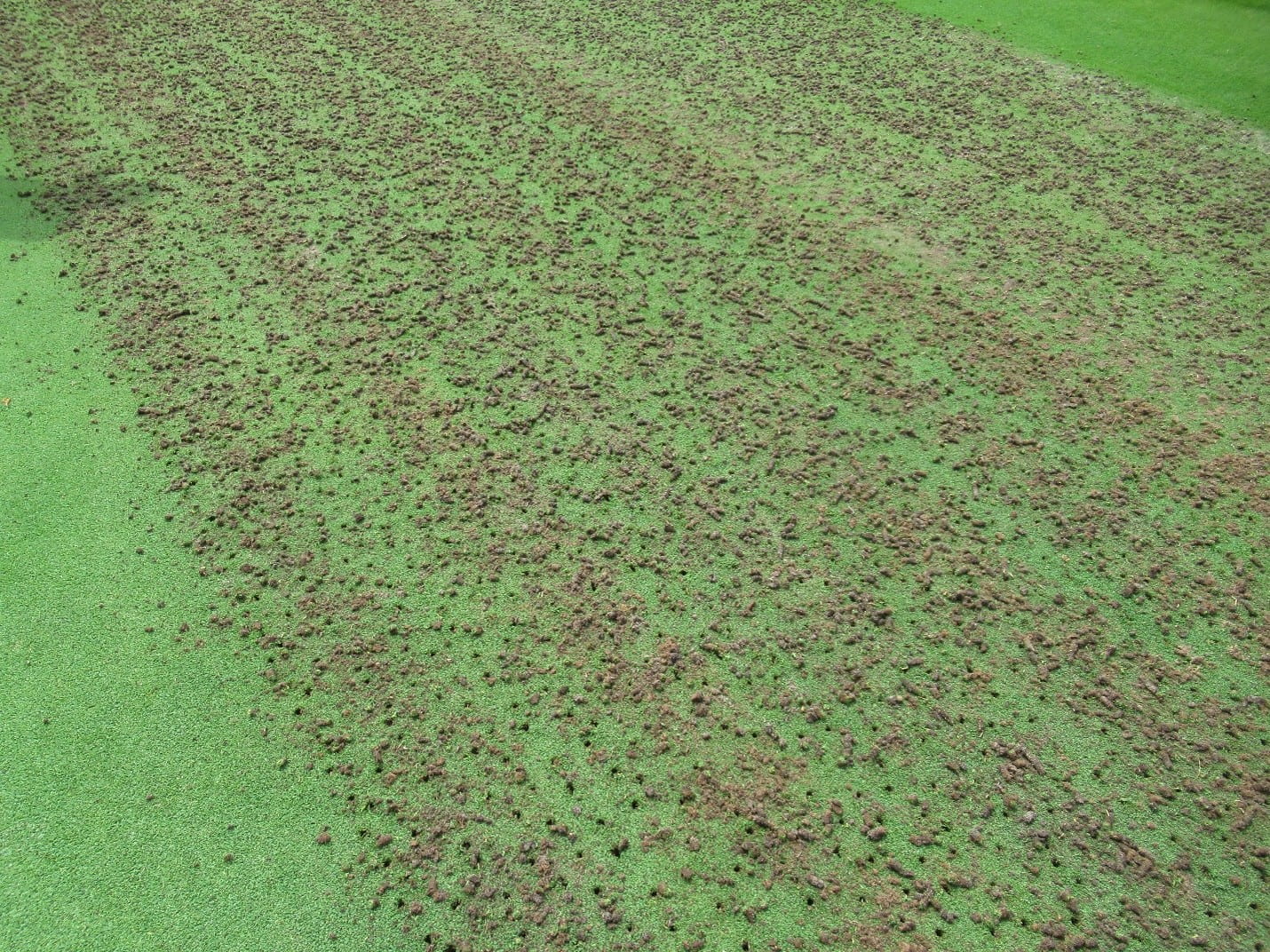 Aerification in turfgrass