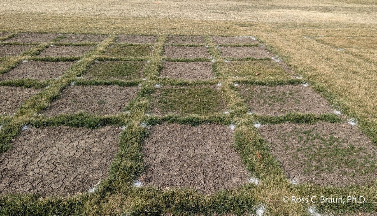 closeup of seeding timings
