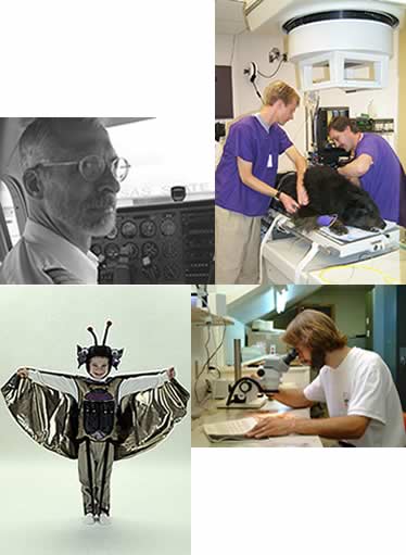 4 photos: from top left - pilot looking at camera, researchers using a ct scanner on a dog, kid in bug costume, researcher looking at plant in microscope
