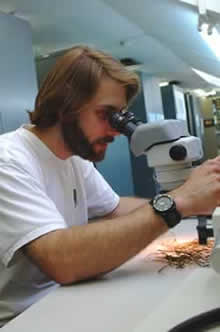 Mark Mayfield looking at plant through microscope