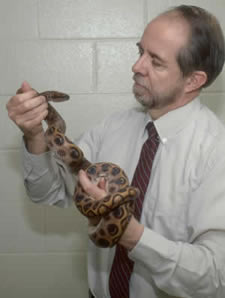 Photo of Carpenter with snake