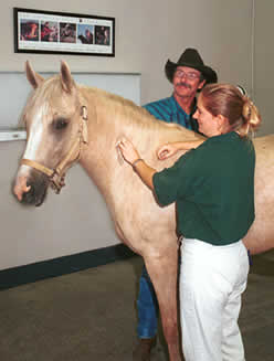 Photo of vaccination