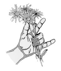 Hort therapy image