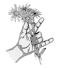 hort hands