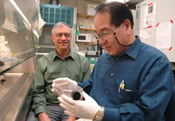 Tamura and Troyer