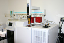 Gas chromatograph-mass spectrometer
