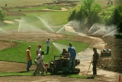 Workers water golf course
