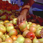 hand reaching for apple