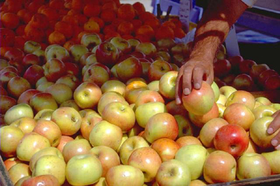 hand reaching for onion