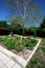 Rain garden