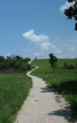 trail view