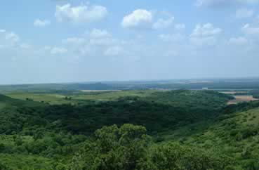 Landscape view of Konza Prairie