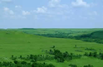 view of prairie