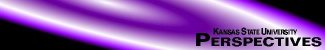 K-State Perspectives flag