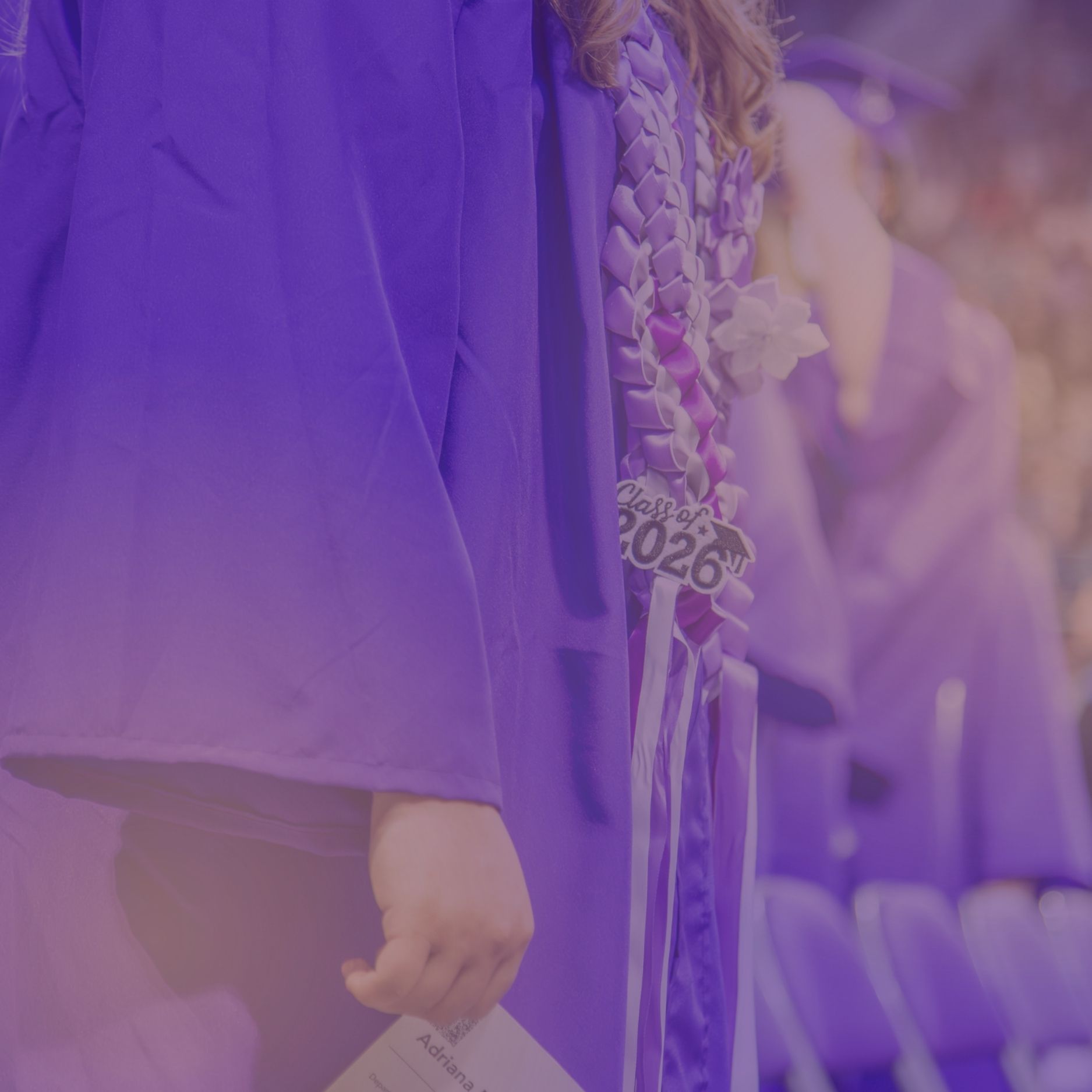 A close-up image of a K-State graduation gown
