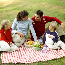 Picnic