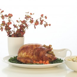 turkey