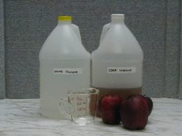 Vinegar