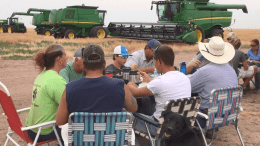 harvest meal