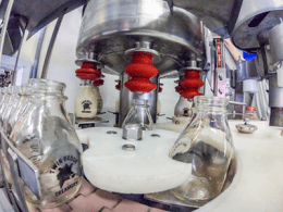 Pasteurized milk
