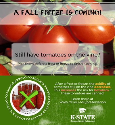 Tomatoes