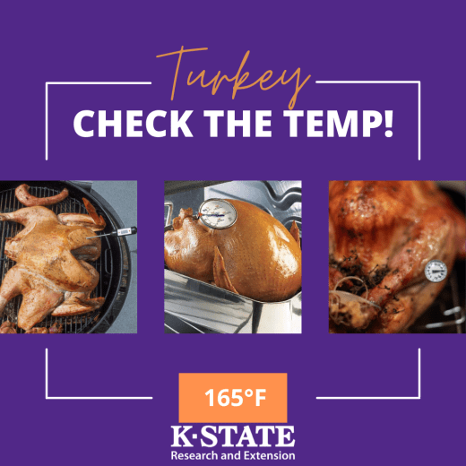 Turkey Temp