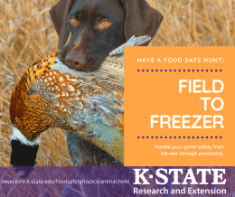 Field to Freezer
