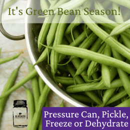Preserving Green Beans