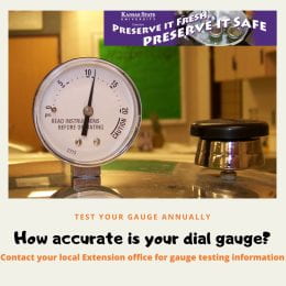 Dial gauge testing