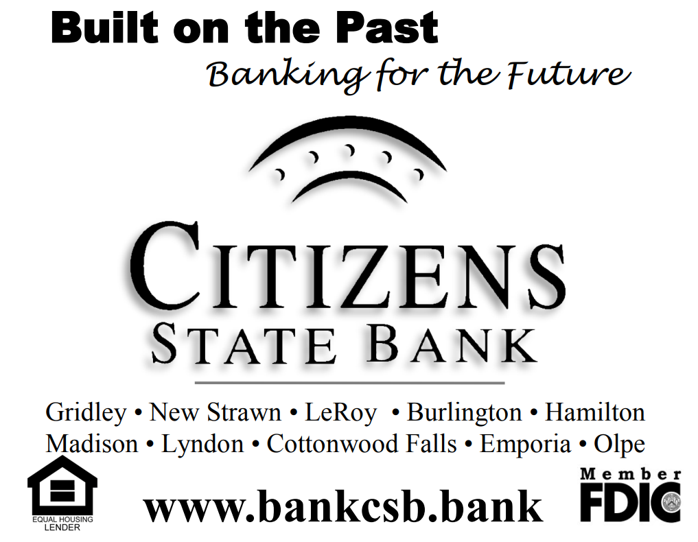 Citizens State Bank logo