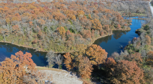 Ariel view of a forest and river.