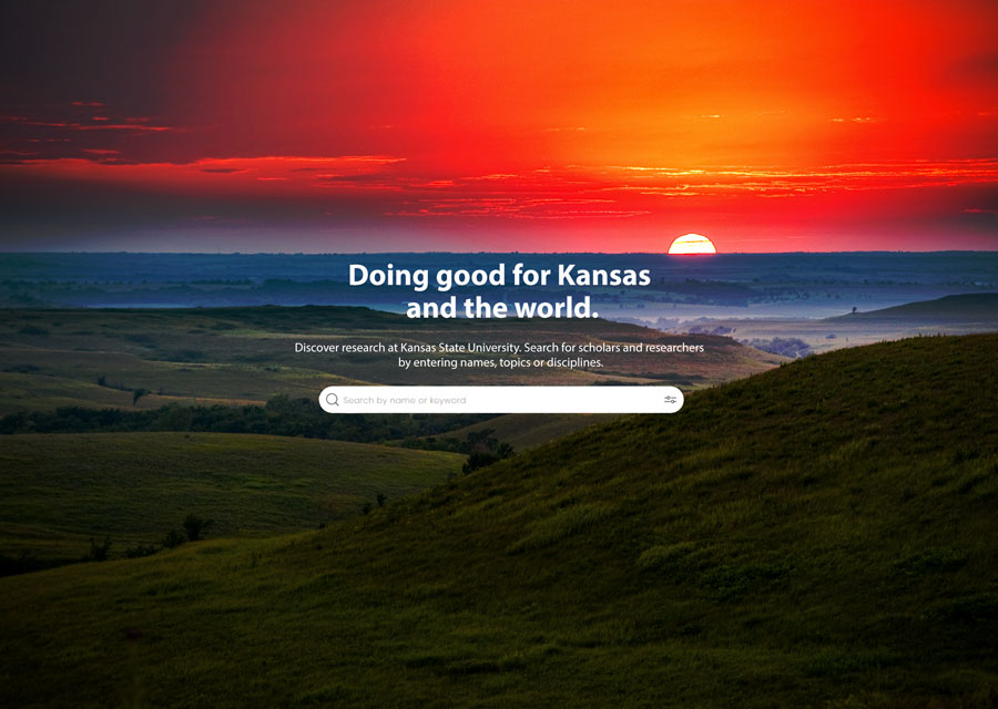 Example of elements interface