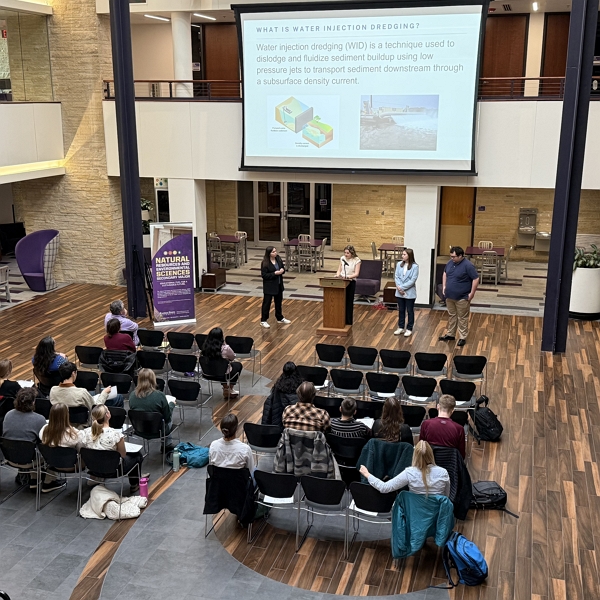 final capstone presentation