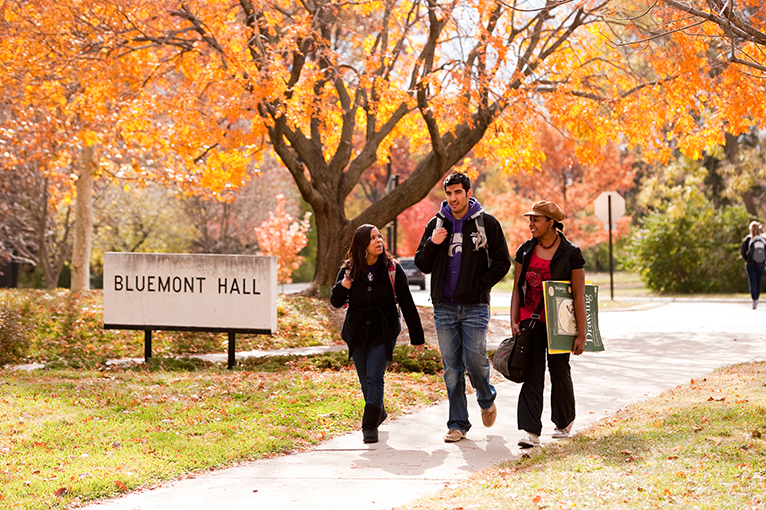 Kansas State University Program Of Study