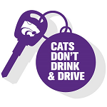 Cats Don't Drink and Drive