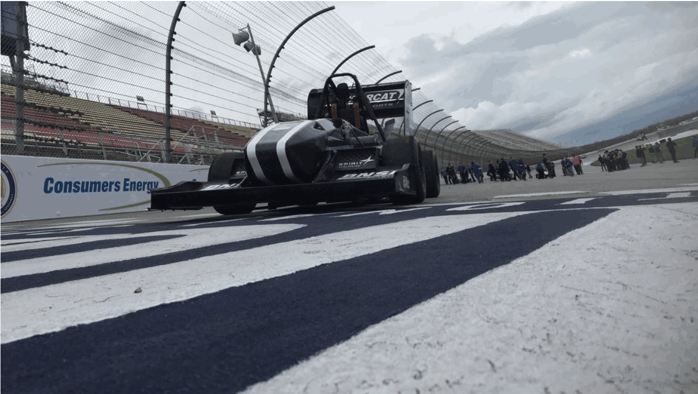 Ocelot on the speedway of Michigan