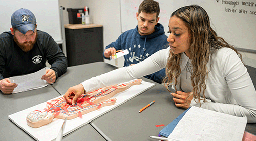Three students examine a diagram of the human body in an anatomy class.