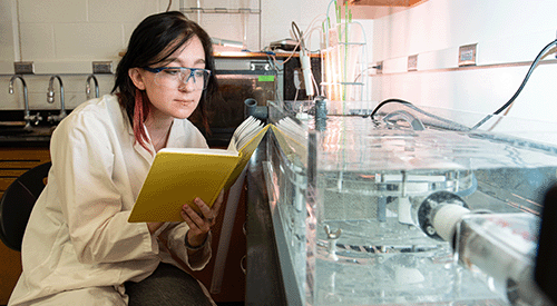A K-State student conducts research in a lab.