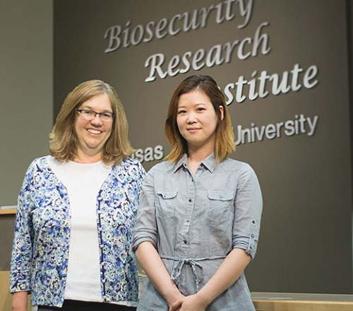 Kansas State University's Dana Vanlandingham, associate professor of diagnostic medicine and pathobiology, left, and So Lee Park, third-year veterinary student and concurrent doctoral student in pathobiology, are authors of recently published research on the susceptibility of North American domestic pigs to Japanese encephalitis virus infections. Park is the study's first author and Vanlandingham is one of its corresponding authors.