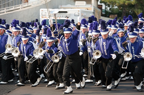 The Pride of Wildcat Land