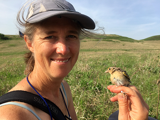 Alice Boyle's study of declining grassland bird populations has received support from the National Science Foundation. Boyle, assistant professor of biology at Kansas State University, is also a musician and plans to communicate her research results to citizens around the state with a performance she is developing.