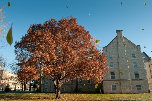 Fall at K-State