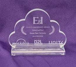 E&I Award