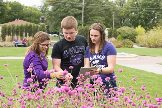 Ag Ed students