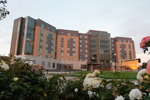 Wefald Hall in the morning