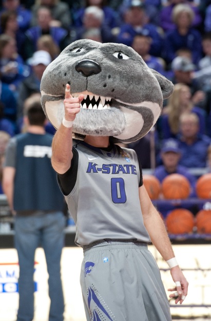 Willie the Wildcat