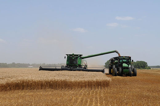 Wheat Harvest