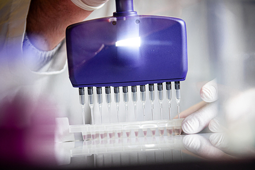 College of Veterinary Medicine is creating a new research center